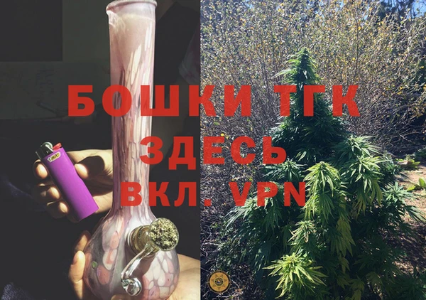 молекула духа Мегион