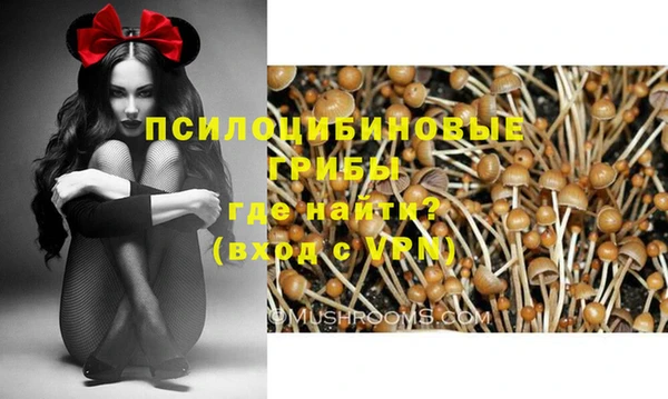 молекула духа Мегион