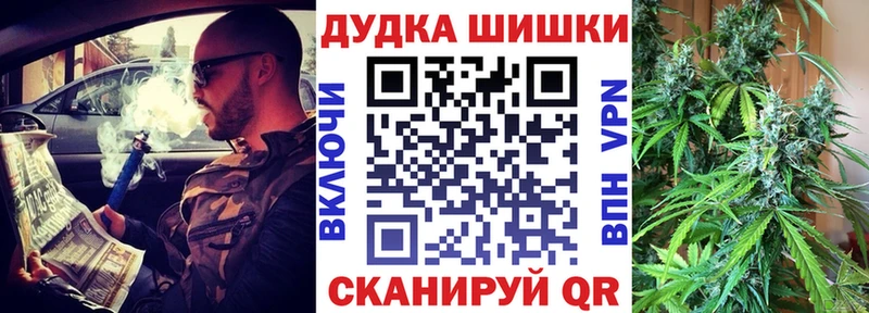 купить наркотики цена  omg вход  Бошки марихуана сатива  Звенигово 